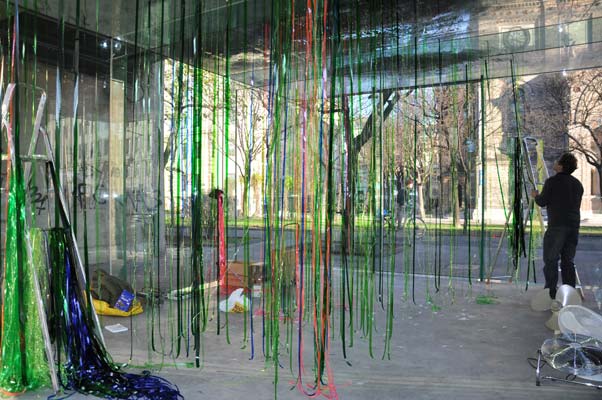 Rainforest Cubed Installation Sylvie Proidl