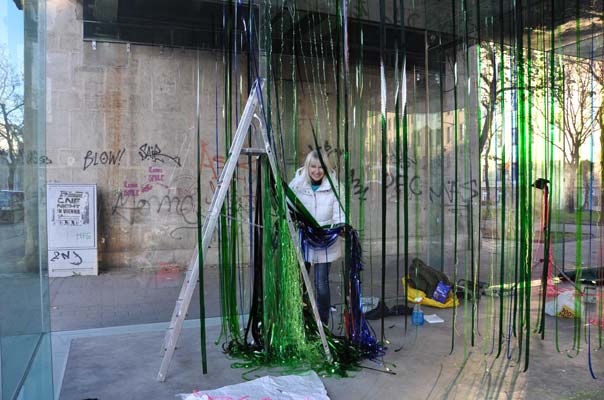 Rainforest Cubed Installation Sylvie Proidl