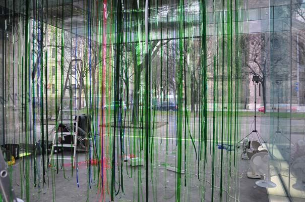 Rainforest Cubed Installation Sylvie Proidl