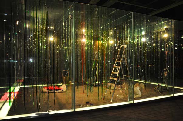 Rainforest Cubed Installation Sylvie Proidl