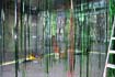 Rainforest Cubed Installation Sylvie Proidl