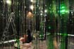 Rainforest Cubed Installation Sylvie Proidl