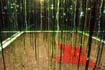 Rainforest Cubed Installation Sylvie Proidl