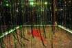 Rainforest Cubed Installation Sylvie Proidl